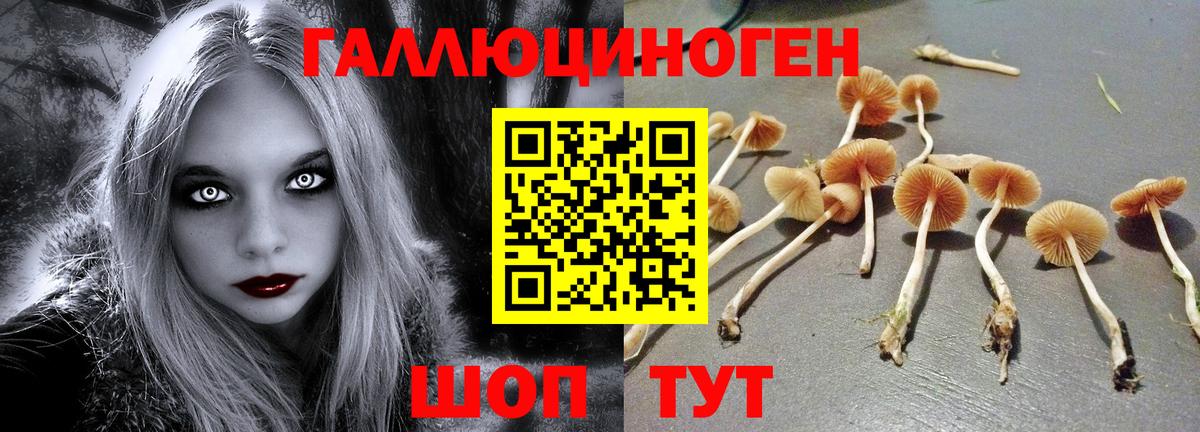 Галлюциногенные грибы GOLDEN TEACHER  Псилоцибиновые грибы прущие грибы  Котлас  Вход с VPN 